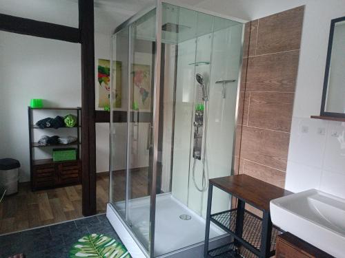 uma cabina de duche em vidro na casa de banho com um lavatório em Brockensicht em Ilsenburg