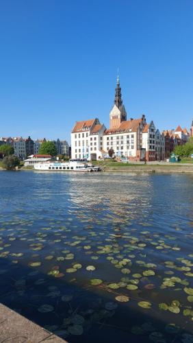 a large body of water with buildings in the background at STARE MIASTO KWIATY in Elblag