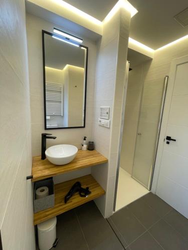 ein Badezimmer mit Waschbecken und Spiegel in der Unterkunft C&G Ático Céntrico con Terraza in Ourense