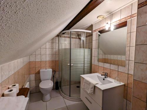 y baño con aseo, lavabo y ducha. en Hotel le Chasseur, en Illkirch-Graffenstaden