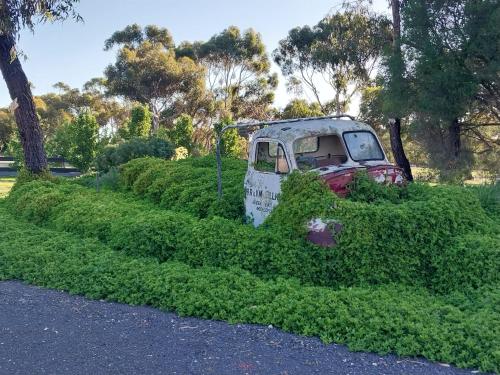 an old van is sitting in a bush at Sherry house in Bannockburn