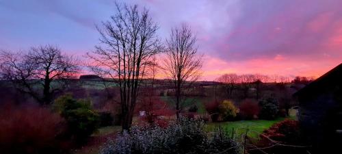 una puesta de sol sobre un campo con árboles en primer plano en La Petite Taupe, en Saint-Omer