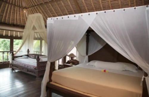 una camera con 2 letti e zanzariere di Abalone Sport Resort a Manggis