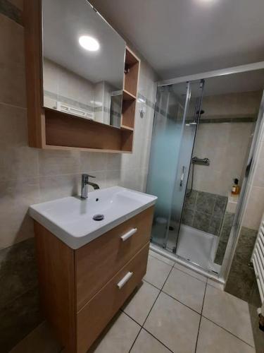 une salle de bain avec un lavabo et une douche dans l'établissement L'écrin de verdure à 25 minutes du Puy du Fou, à Cerizay