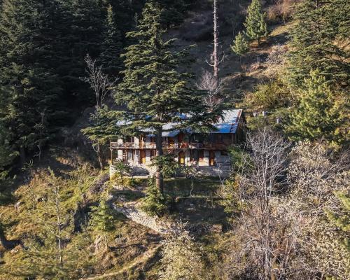 an aerial view of a house in the woods at Castaway Offbeat Stay in Manāli