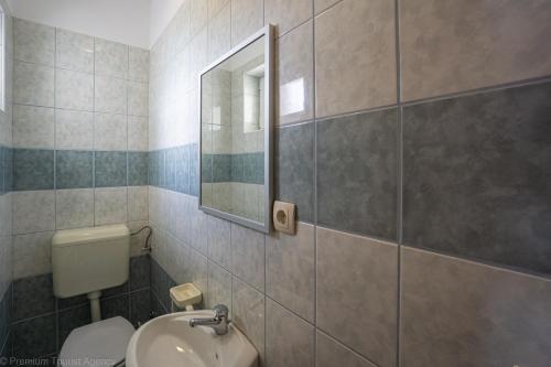 a bathroom with a toilet and a sink and a mirror at Katarina 1 in Zubovići