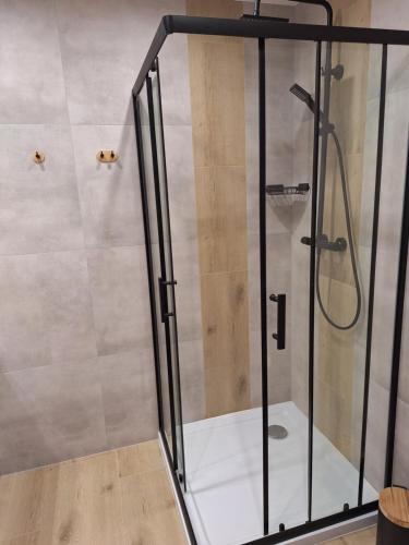 eine Dusche mit Glastür im Bad in der Unterkunft MiniApart Grunwaldzka in Kielce