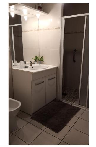 une salle de bain avec un lavabo, des toilettes et un miroir dans l'établissement Les Jardins du castel gites Annick et Jean paul, à Saint-Georges-dʼEspéranche