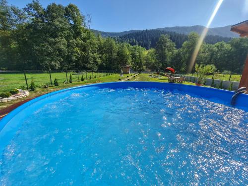 a large blue swimming pool with a view of a park at Cabana Dintre Munti in Vidra