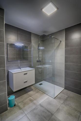une salle de bain avec douche et lavabo dans l'établissement Appartement Le Frassu PORTICCIO, à Porticcio