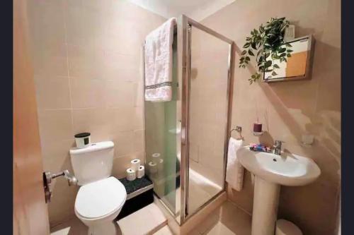La salle de bains est pourvue d'une douche, de toilettes et d'un lavabo. dans l'établissement The Maple Retreat - Hampstead, à Londres