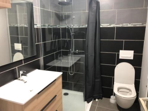 La salle de bains est pourvue d'une douche et de toilettes. dans l'établissement appartement 8 couchages, à Laveissière