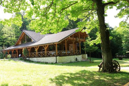 a large wooden house with a tree in front of it at Cabana Izvoranu in Izvoranu