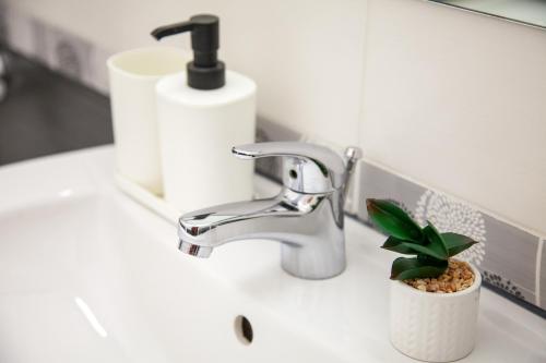 a bathroom sink with a faucet and a plant on it at Kalina Apart in Sveti Vlas