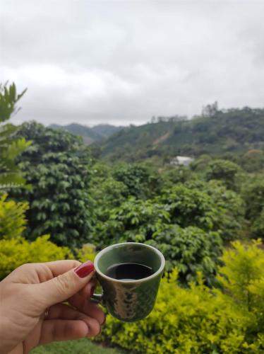 a person holding a cup of coffee in front of a forest at Chalé Pingo de Ouro in Alto Caparao