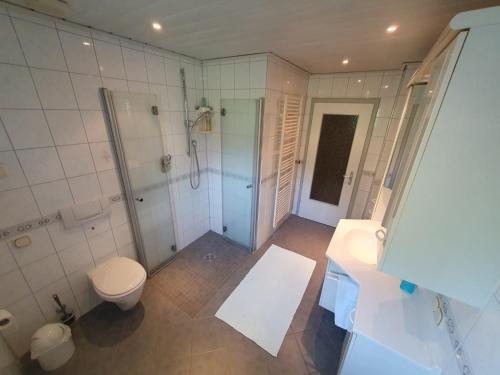 a bathroom with a shower and a toilet and a sink at Ferienwohnung Saarlandliebe in Lebach