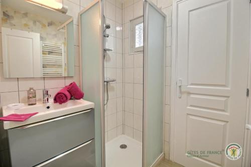 uma casa de banho com um chuveiro e um lavatório. em Luna em Paimpol
