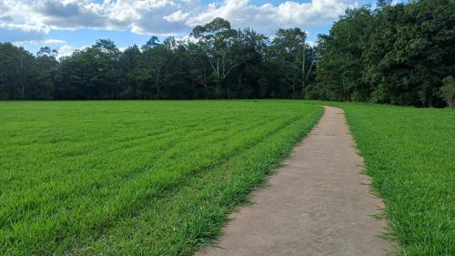 a path through a field of green grass at Cozy Room with Separate Entrance and Ensuit Bathroom in Atherton