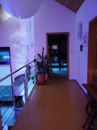 a room with a balcony with a plant on it at Das Tor zur Rhön in Dietlas