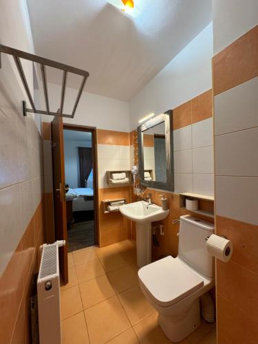 a bathroom with a toilet and a sink and a mirror at Vila Speranta in Pleşcoi