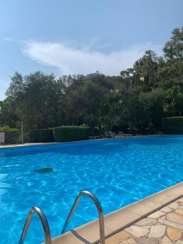 a large blue swimming pool with trees in the background at French Riviera apartment with swimming pool and free parking near Monaco in Roquebrune-Cap-Martin