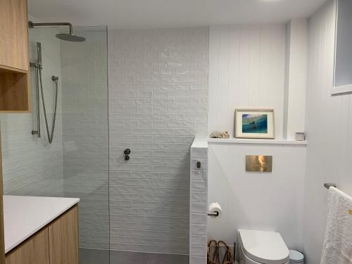 亚历山德拉岬角Newly renovated beach front unit. Views to die for!的带马桶和玻璃淋浴间的浴室