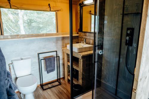 een badkamer met een toilet, een wastafel en een douche bij Fibden Farm Glamping - Luxury Safari Lodge in Droitwich