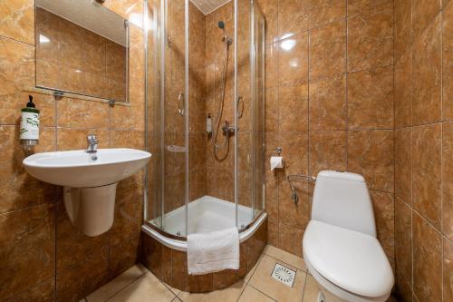 ein Bad mit einer Dusche, einem WC und einem Waschbecken in der Unterkunft B&B Widok in Bielsko-Biała