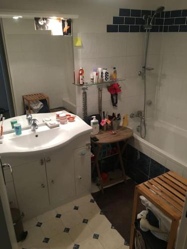 une salle de bain avec un lavabo, une douche et une baignoire dans l'établissement 2 bedroom apartment with balcony / park Buttes Chaumont /Jourdain, à Paris