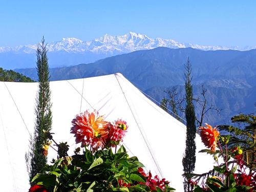 ein Zelt mit Blumen und Bergen im Hintergrund in der Unterkunft The Bugyal in Kanatal
