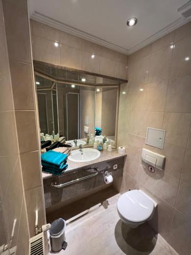 a bathroom with a sink and a toilet and a mirror at Pension Dresdener Panorama in Dresden