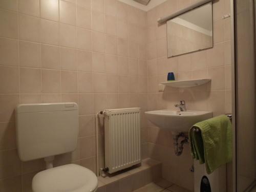 een badkamer met een toilet en een wastafel bij Ferienwohnung Nexö 25 qm, 1 Wohn-Schlafzimmer N7 in Ilsenburg
