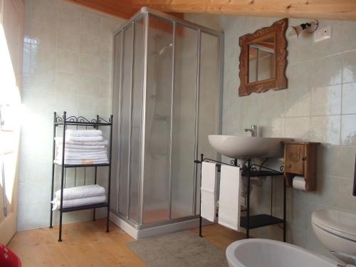 a bathroom with a shower and a sink at San Carlo in Chiavenna