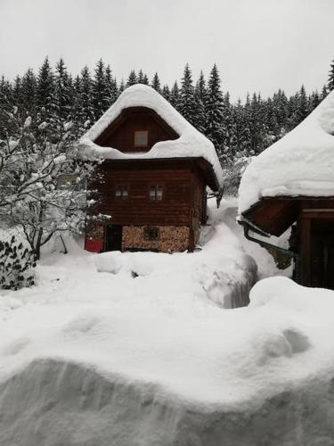 a house covered in snow with trees in the background at Chalupa Na Sklepě in Velké Karlovice