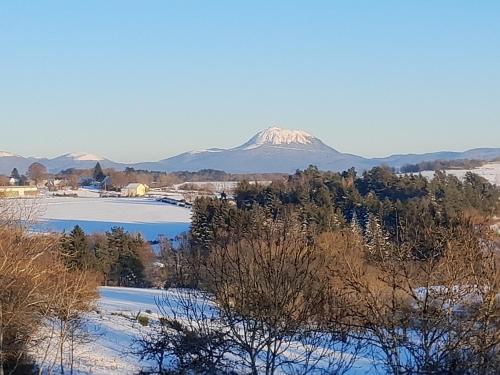 Nouveau Le Chant des Arbres