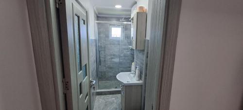 マンガリアにあるApartament Bratuのバスルーム(シャワー、洗面台、トイレ付)