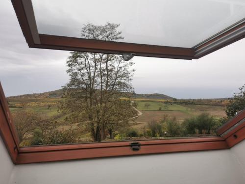 a window in a room with a view of a field at Studio spacieux, route des vins in Rosheim