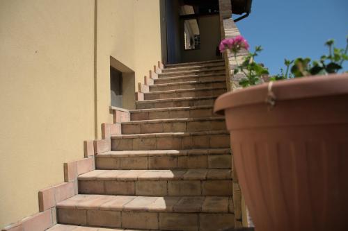 a staircase leading to a building with a flower pot at Casale del Gufo in Chiaravalle