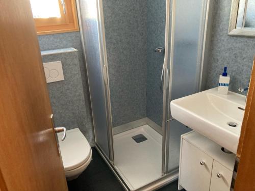 a bathroom with a shower and a toilet and a sink at Chalet Bärgsunna in Rosswald