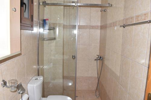 y baño con ducha y aseo. en Madaro Traditional House en Arménoi