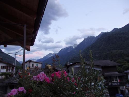 a view of a mountain range with pink flowers at San Carlo in Chiavenna