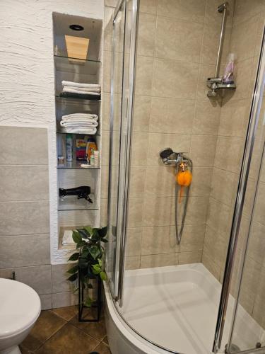 uma casa de banho com um chuveiro e um WC. em Loft em Sosnowiec