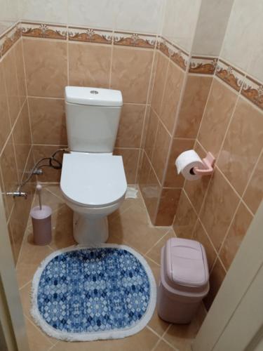 een badkamer met een toilet en een blauw tapijt bij Hisar Apartments in Istanbul