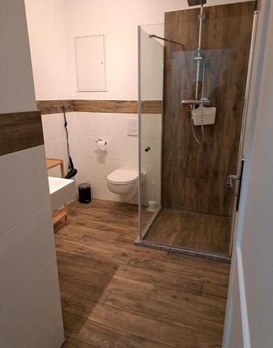 a bathroom with a shower and a toilet at Hof Schwericke in Tauche