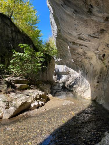 a rocky canyon with a river and trees in it at Natural e Simplu in Petroşani