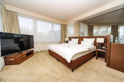 TV a/nebo společenská místnost v ubytování l'Arrivée Hotel & Spa