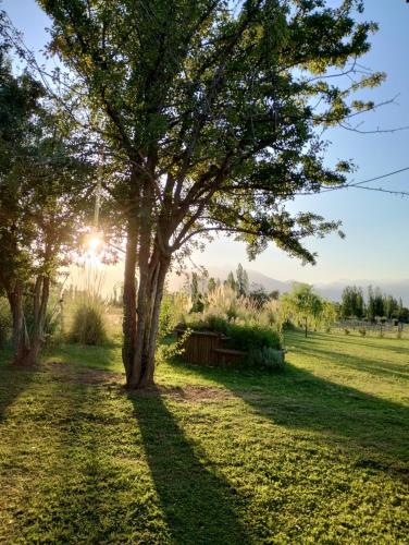 Finca La Valletana – Photos 3