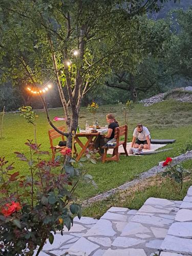 two people sitting at a picnic table under a tree at Villa Gjeçaj Guesthouse and Restaurant in Theth