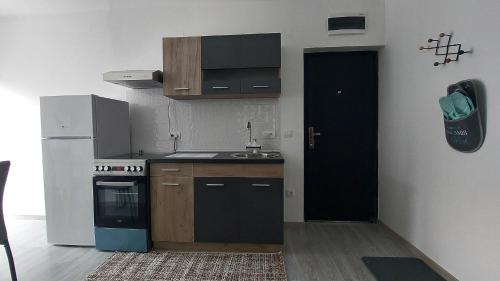 Elle comprend une petite cuisine équipée d'un évier et d'un réfrigérateur. dans l'établissement Apartman Iris Srebrno jezero, à Veliko Gradište