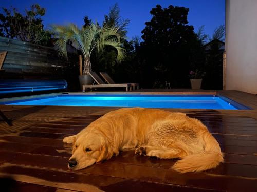Chambre d’hôtes Stéphane